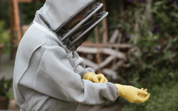 why-nitrile-gloves-are-the-best-for-beekeeping-nitrile-gloves-info