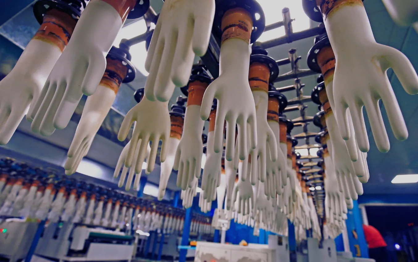 Rows of nitrile gloves hang on a production line.